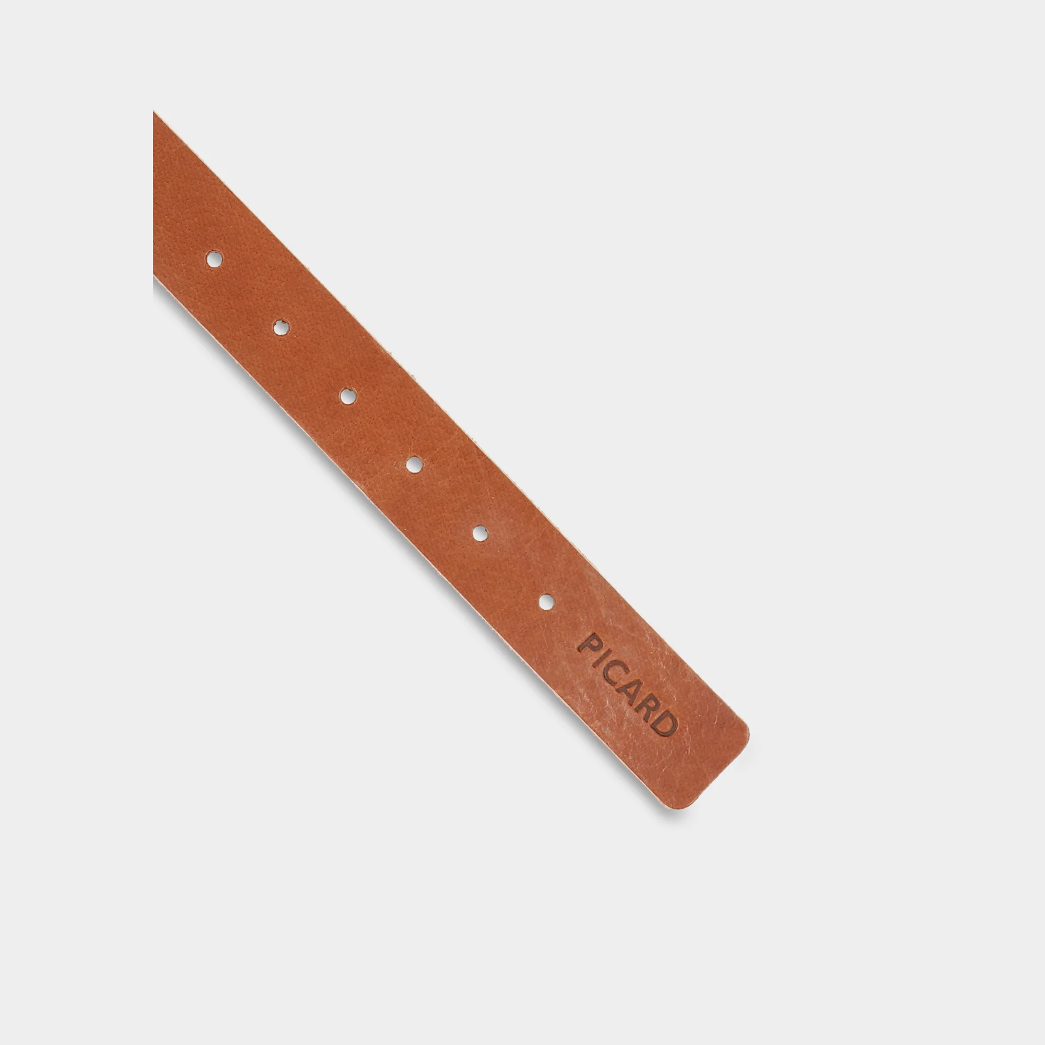 Hundehalsband Dog Collar Strolch Größe M R129 - Image 3