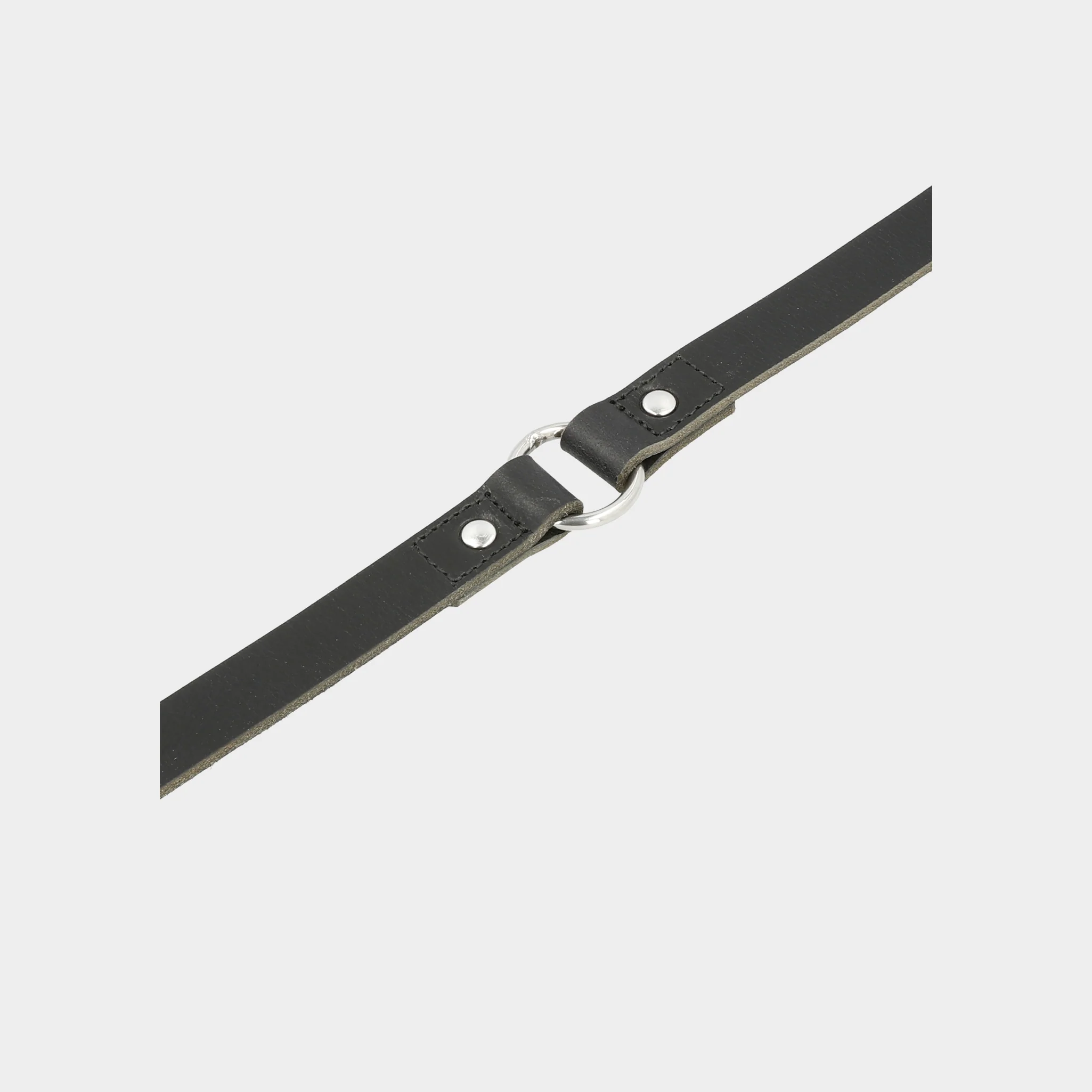 Hundeleine Strolch R127 - Image 2
